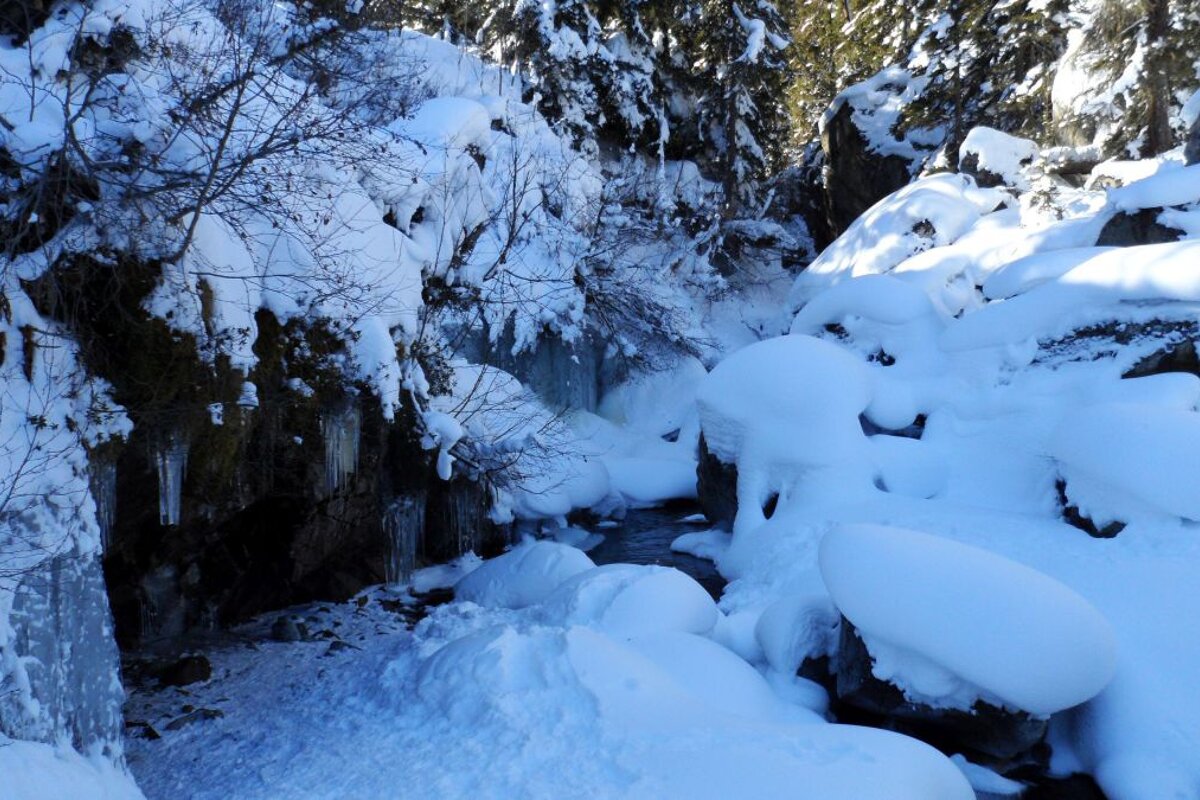 A snowy landscape with trees and rocks covered in snow