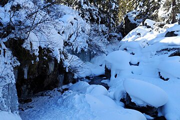 A snowy landscape with trees and rocks covered in snow
