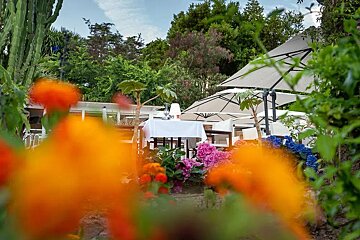 A table with a white table cloth is surrounded by flowers and umbrellas