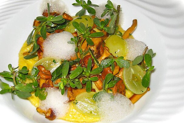 Bistrot Gourmand Clovis Restaurant, Tourrettes-sur-Loup style of cuisine