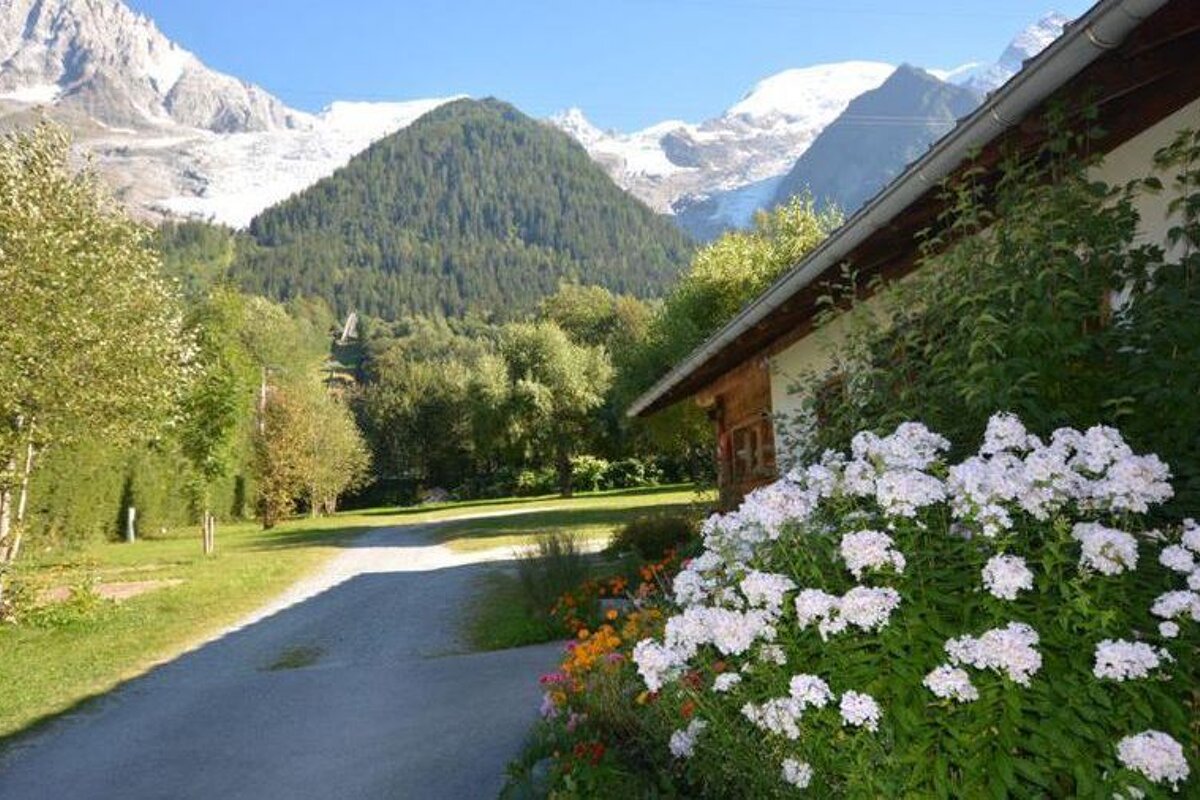 some flowers outside a campsite building with glacier views