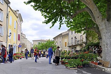 Flower Festival, Velleron