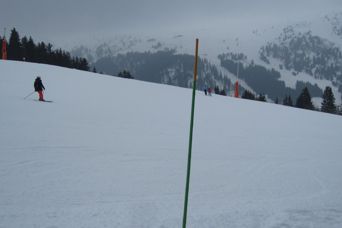 yellow piste pole
