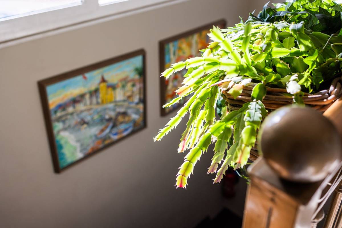 A plant is hanging on a railing next to a painting