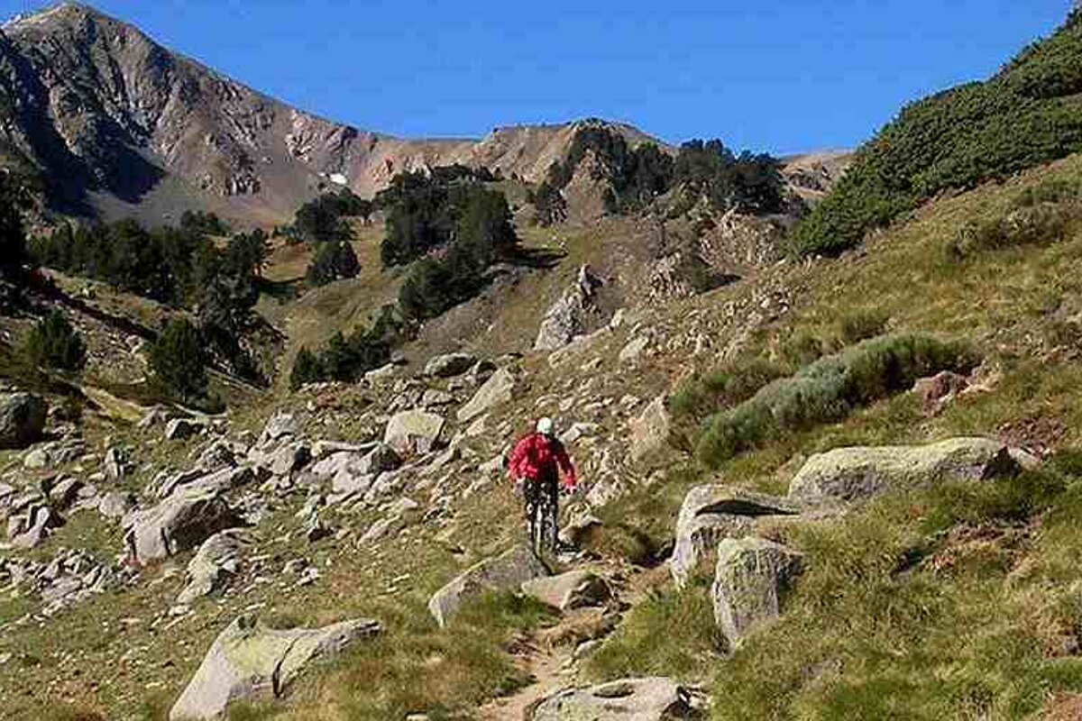 Guided Mountain Biking Tour, Morzine