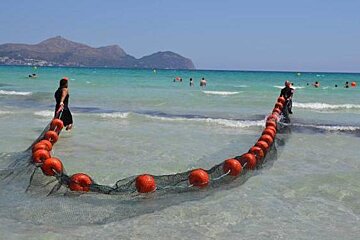 Anti-jellyfish net tested in Playa de Muro