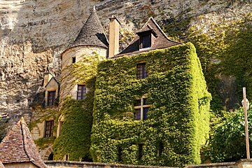 an ivy covered house in La Roque-Gageac