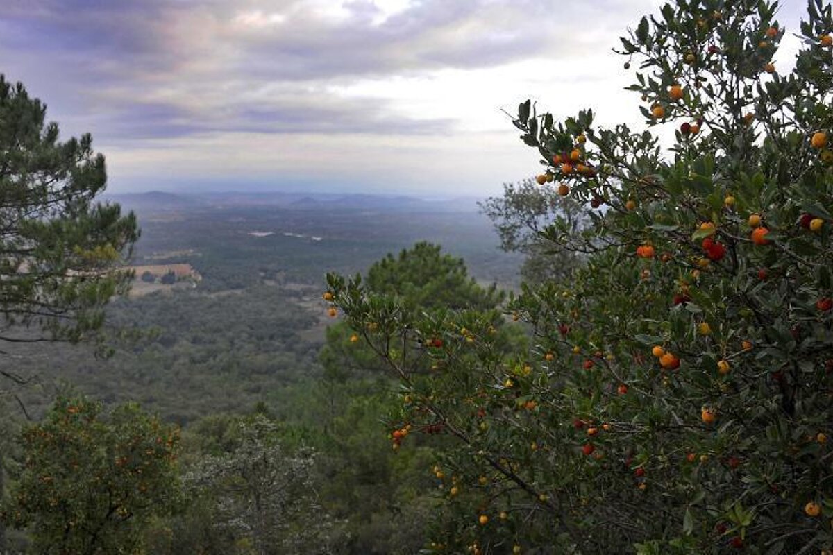 Plaine des Maures, Natrural Park