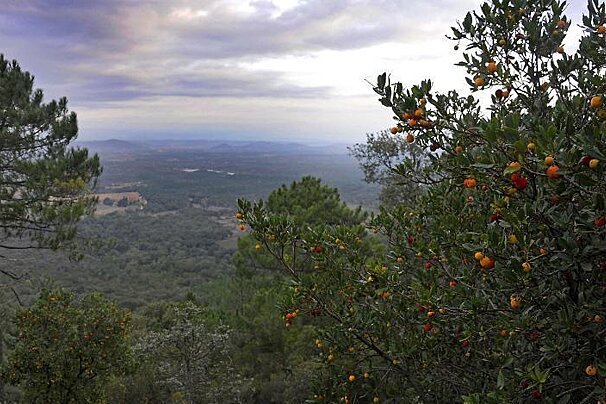 Plaine des Maures, Natrural Park