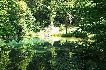 An image of a lake in an alpine forest