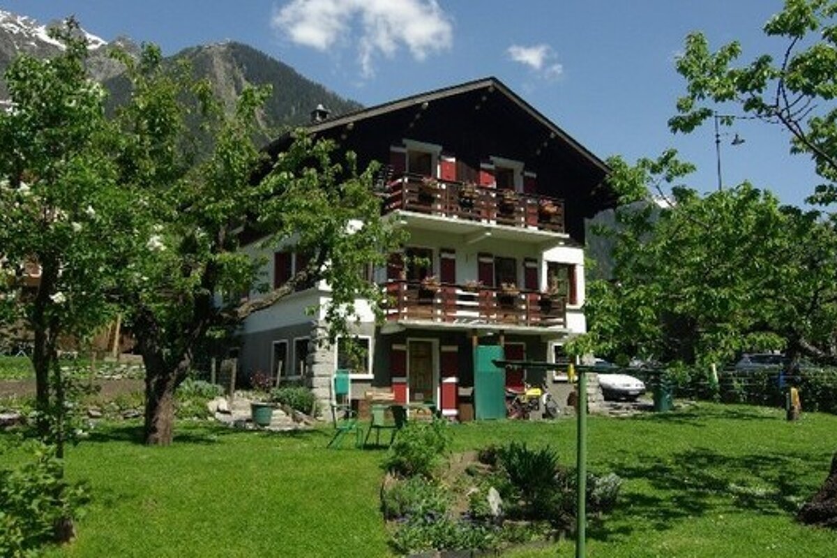 A house with a lot of trees in front of it