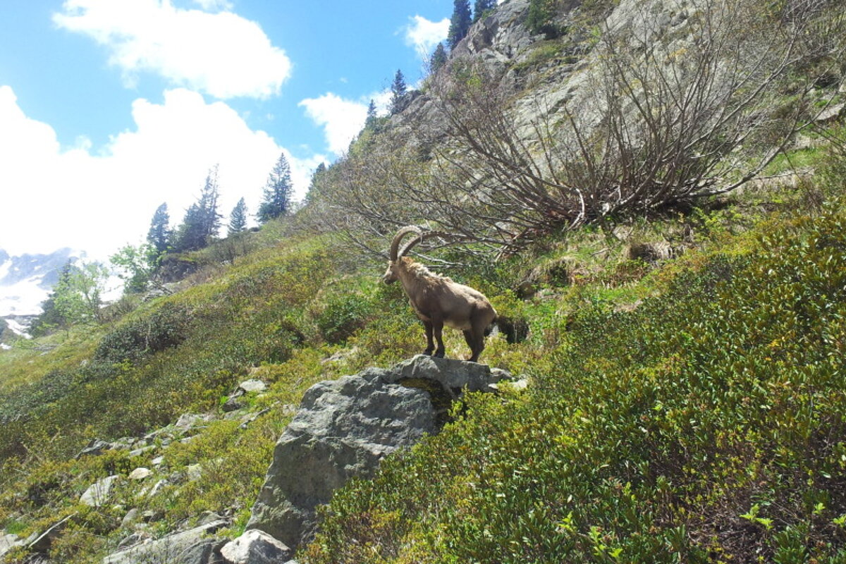 Le Buet to Refuge de la Pierre a Berard