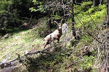 Le Buet to Refuge de la Pierre a Berard