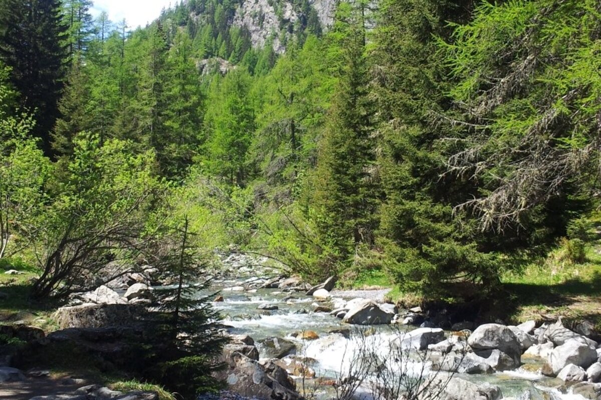 Le Buet to Refuge de la Pierre a Berard