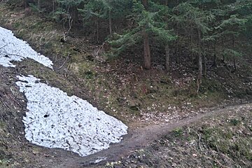 Spring Trail Running in Chamonix