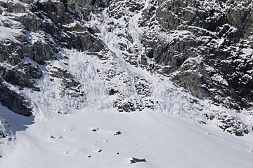 two deer in the distance