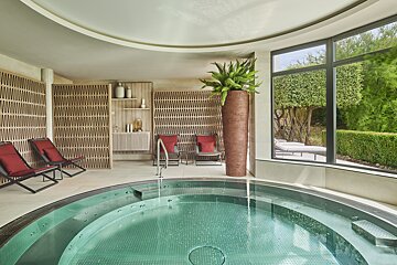 A large potted plant is in the middle of a swimming pool