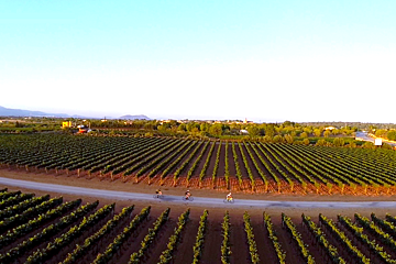 Road biking in Palma de Mallorca