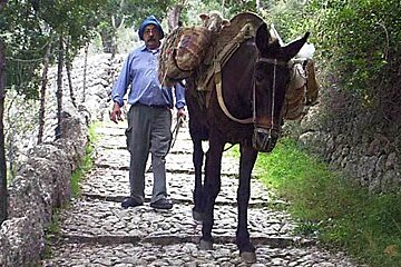 Trekking , West Mallorca