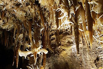 rock formation within a cave at cadouin
