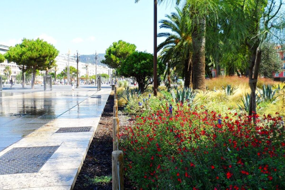 Le Jardin Albert 1er, Nice