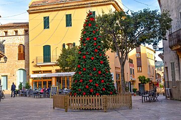 Alcudia,
