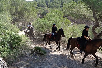 Cala Ratjada & Cala Torta Horse Riding Excursion, Cala Ratjada