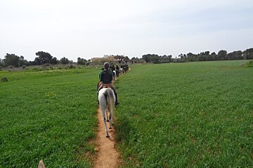 Cala Ratjada & Cala Torta Horse Riding Excursion, Cala Ratjada