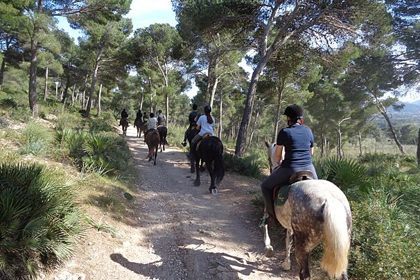 Cala Ratjada & Cala Torta Horse Riding Excursion, Cala Ratjada