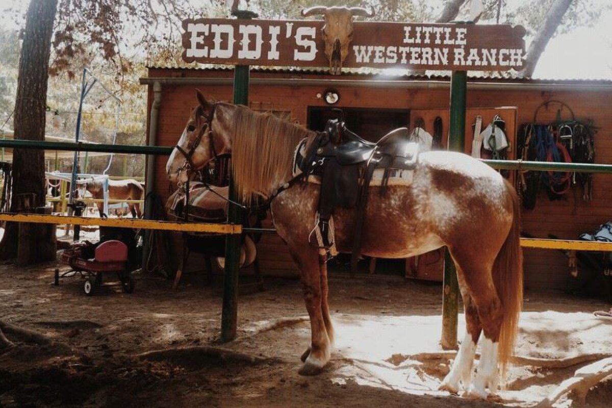 Eddies Reitstall Horse Riding, Cala Ratjada