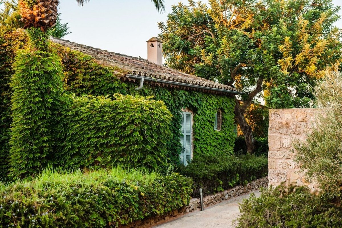 An ivy-clad house with blue shutters, tiled roof, and lush green landscaping. A pathway runs alongside it.