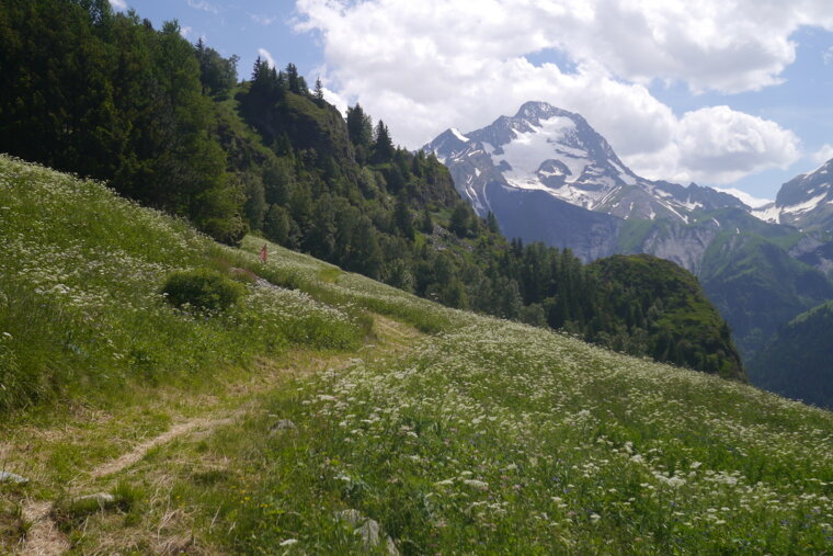 a walking path in 2 alpes