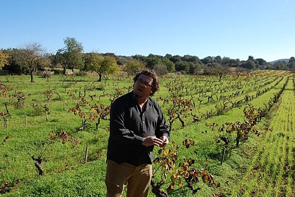 Anima Negra Vineyard, Felanitx exterior