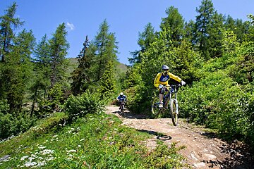 two mountain bikers hitting small jumps
