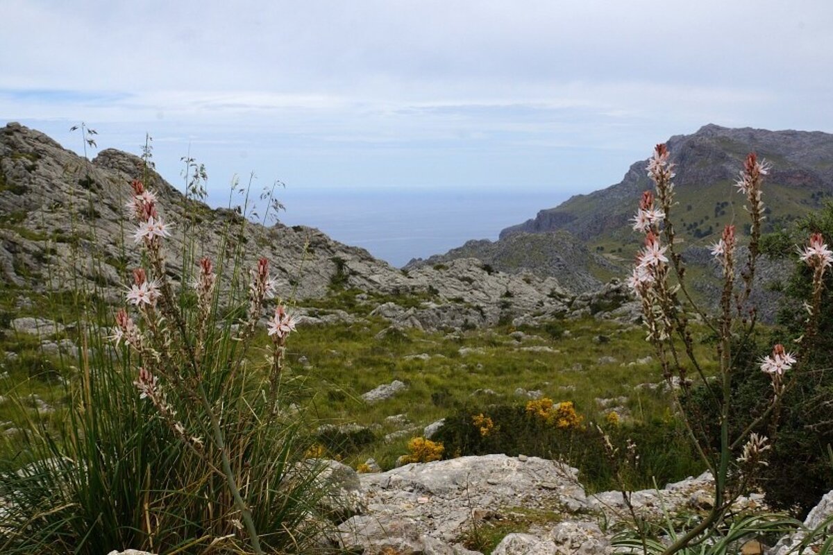 Serra de Tramuntana, best natural destination
