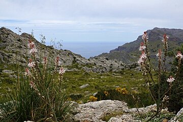 Serra de Tramuntana, best natural destination