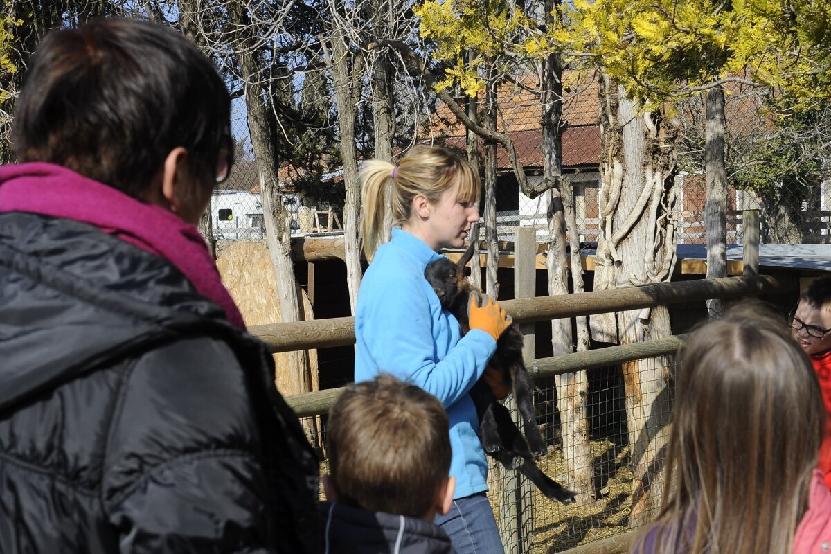 Oiselet Organic Farm Visit