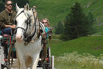 Le Festiv'Ete des Gorzderes, Champagny