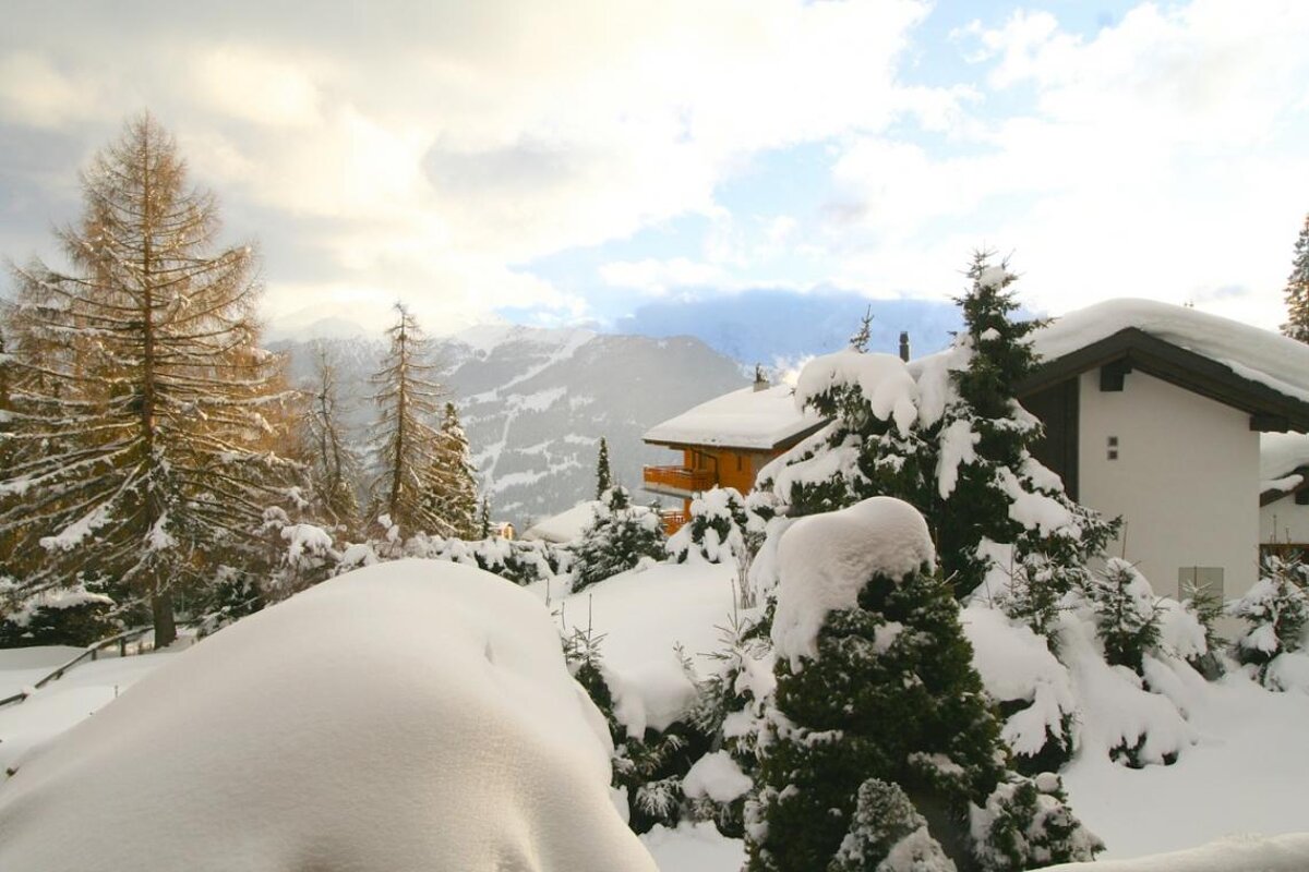 Snow covered trees in front of a house with mountains in the background