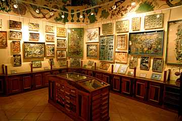 La Maison des Papillons - Butterfly Museum, Saint Tropez