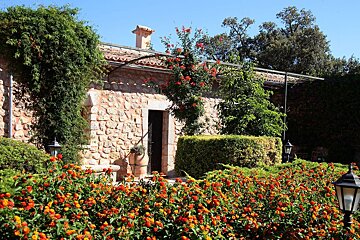 A rustic stone house covered in green vines and red flowers, nestled among vibrant orange and red flowerbeds under a bright blue sky.