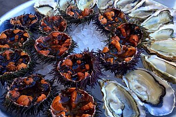 Le Longchamp Bar & Brasserie, Isle sur la Sorgue