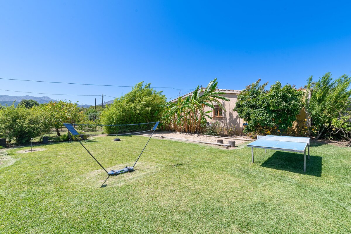A ping pong table sits in the middle of a lush green yard