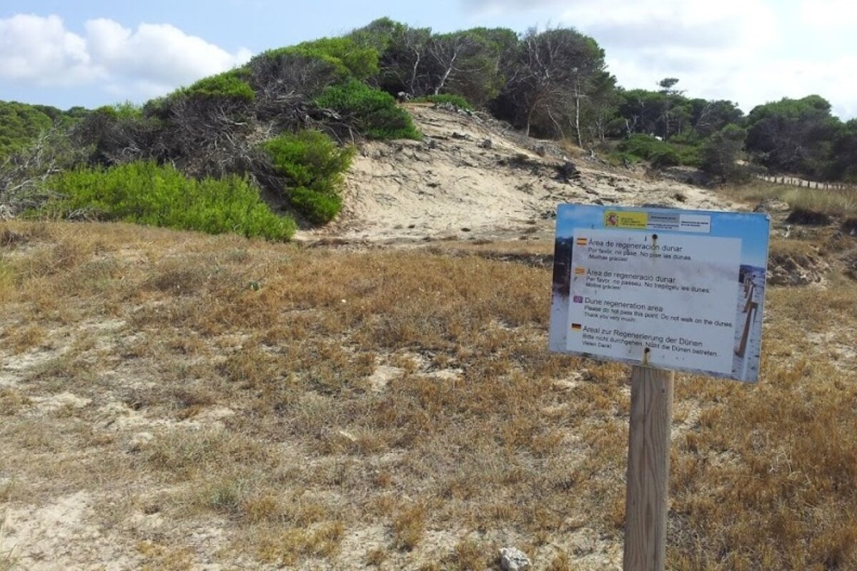 a sign post near some sand dunes in mallorca