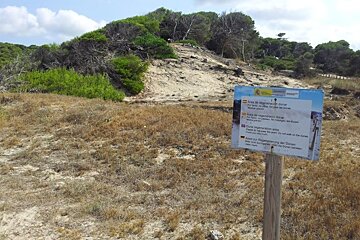 a sign post near some sand dunes in mallorca