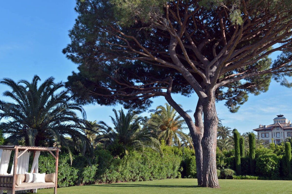 Apolline Villa, Saint Tropez garden