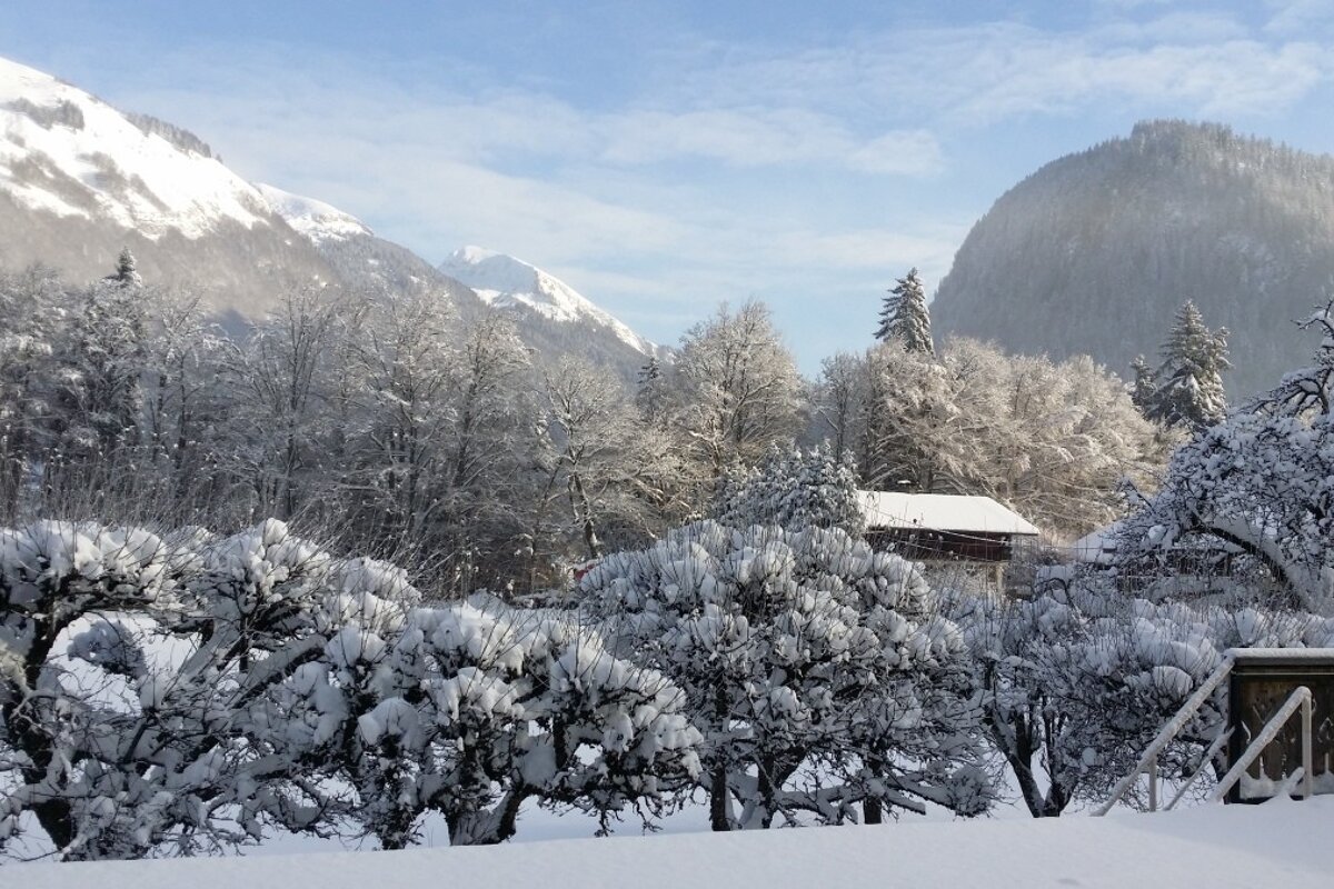 Les Fleurs Hotel, Morzine view