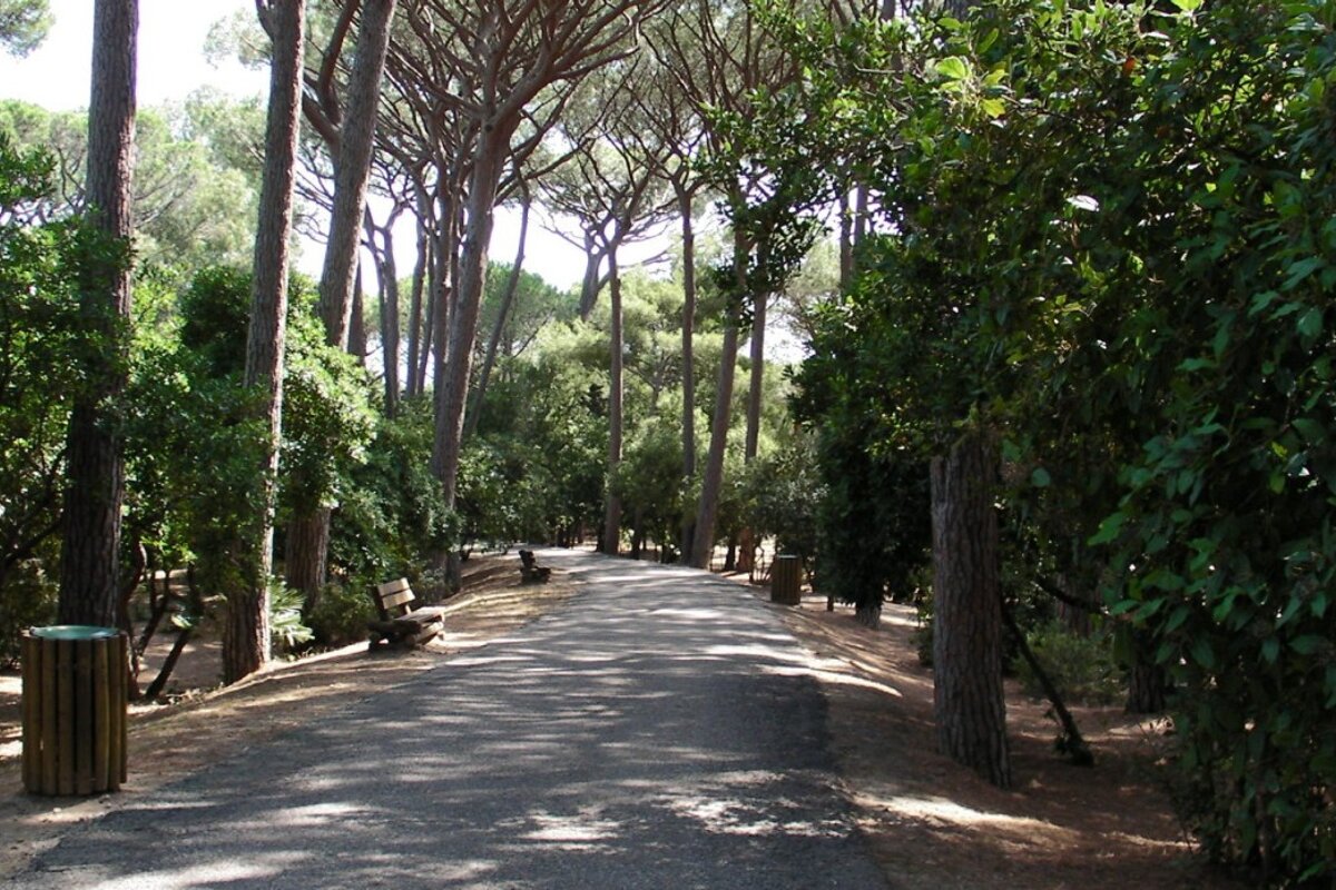 Myrtes Botanical Park