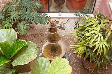 Palau Sa Font Boutique Hotel, Palma