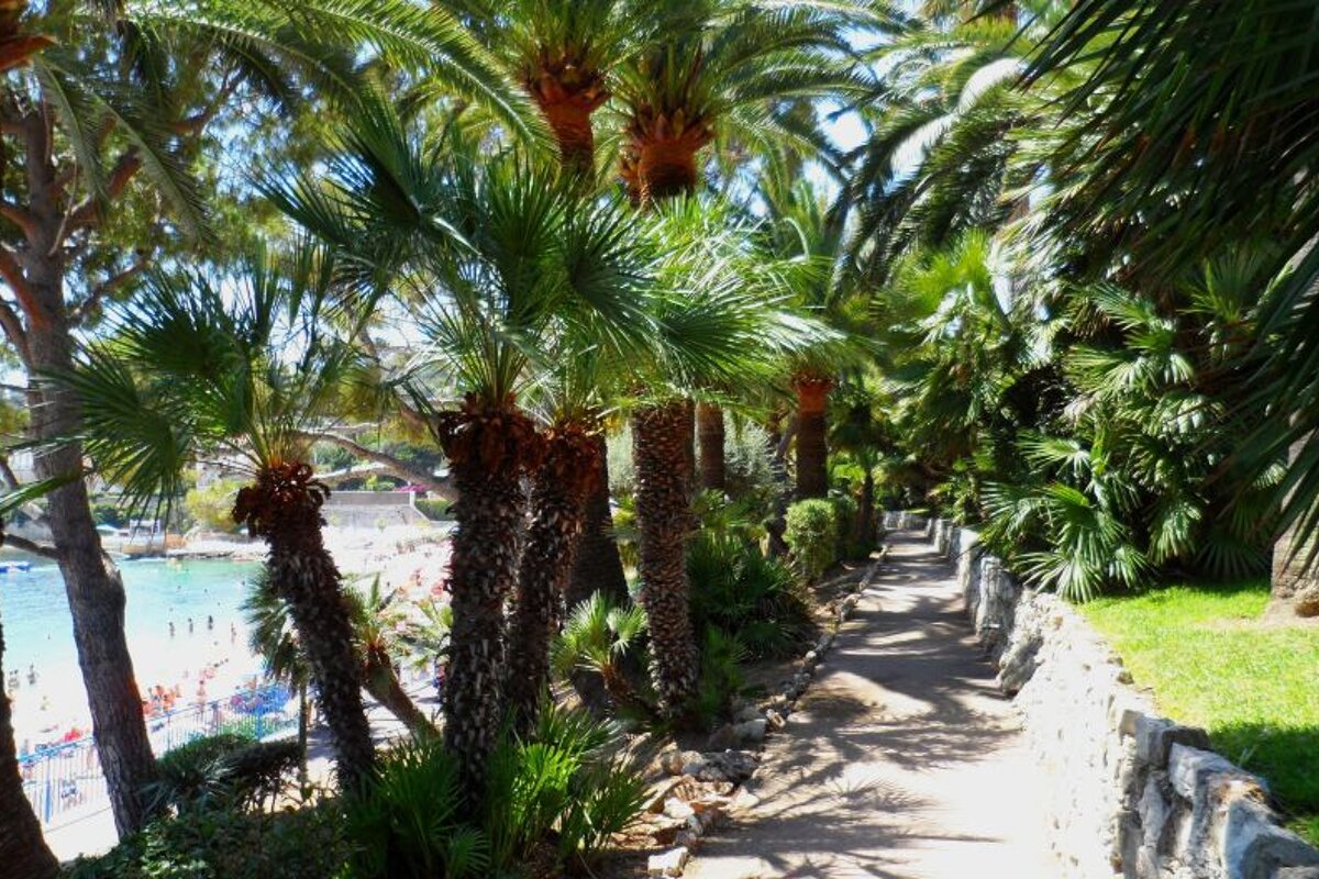 Plage des Fourmis, Beaulieu Sur Mer
